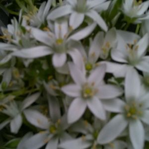 Meet your Posher, Virginia